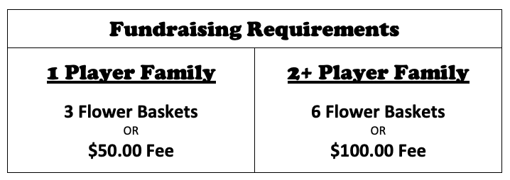Fundraising Requirements